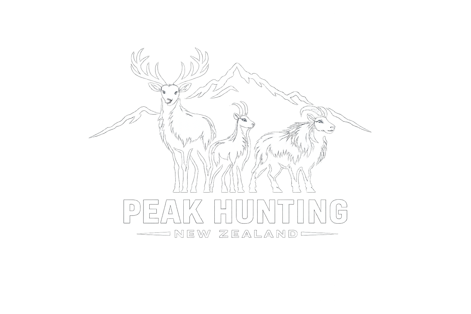 Peak Hunting
